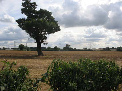 Marston Jabbett 2