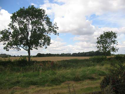 Marston Jabbett 5
